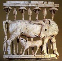  Ivory Cow